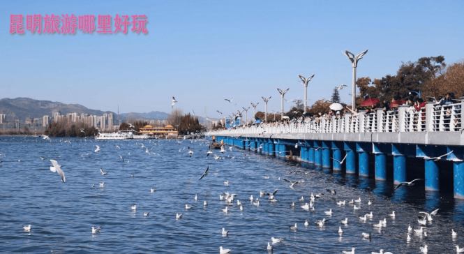 昆明旅游哪里好玩？都是有哪些比較好玩的地方？