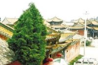 文明閣建筑群、