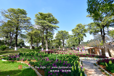 瑞麗民族文化宮、
