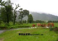 詩蜜娃底(黃草壩)、