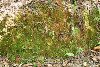 <b>紅軍攻城戰斗遺址</b>、