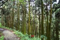 月亮山風(fēng)景名勝區(qū)